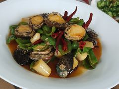 -船歌·鱼水饺青岛菜(奥帆中心店)
