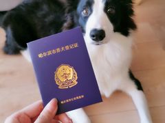 -天时宠物医院24小时疑难病例会诊中心(顾乡大街总院)