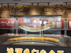 -泗洪县文化艺术中心