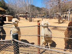 -大连森林动物园