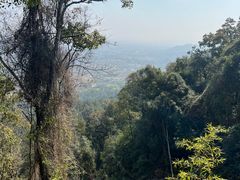 -神光山国家森林公园