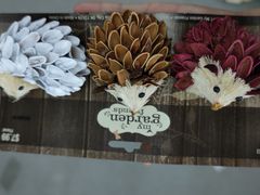 -老碗会·陕西手工面(中心书城店)