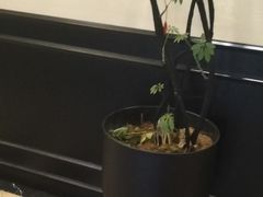 -涟LIAN·泰式按摩·MASSAGE·SPA(深业上城店)