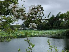 -无锡蠡湖国家湿地公园-蠡园