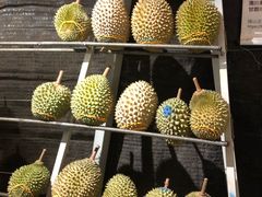 -都念榴莲·城市榴莲