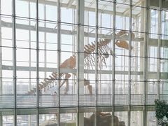 -吉林省自然博物馆