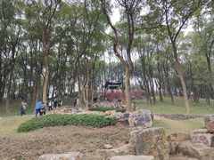-无锡梅园公园