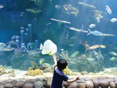 -华夏文旅海洋公园