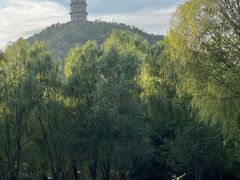 -北坞公园
