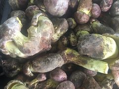 白见手青-双喜农庄·菌香园(安居家园店)