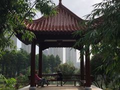 -汉水公园