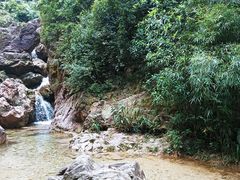 -南海湾森林生态园