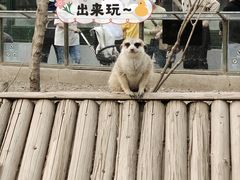 -天津市动物园