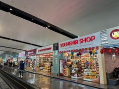 -河内内排国际机场