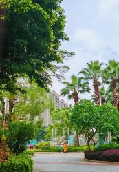 -观澜格兰云天大酒店-宴会厅