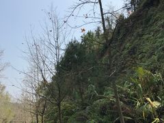 -田野绿世界