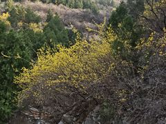 -佛慧山