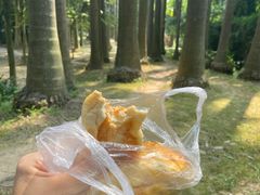 -滴水岩森林公园