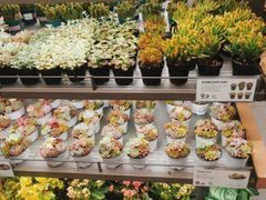-鹿岛生活(熙地港店)