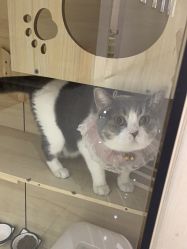 -苗医生草本科技祛痘