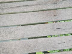 -荷塘月色湿地公园·向阳花洲