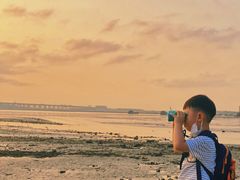 -宝安西湾红树林湿地公园