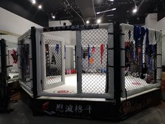 -成杰格斗·拳击·柔术·防身术(建设路店)