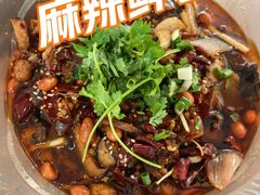 -食神又名厕所兔
