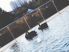 -行者书屋大堂吧 ·下午茶(南京圣和府邸酒店)