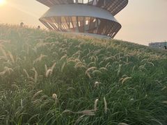 -光明小镇欢乐田园