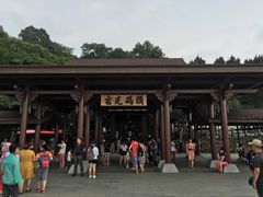 -金盆阿嬷香菇茶叶蛋(玄光店)