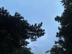 -大芦花风景区