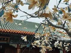 -珠海圆明新园