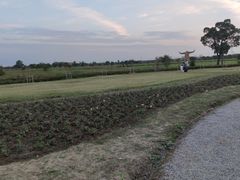 -嘉北郊野公园