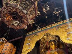 -普陀山风景名胜区-法雨禅寺