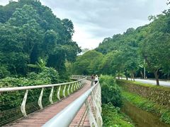 -广州市帽峰山景区