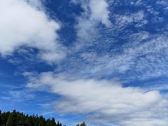 -武陵山森林公园