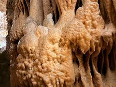 -波斯托伊纳溶洞