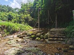 -南海湾森林生态园