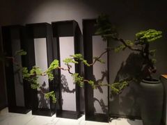 -璞·澐间影院式足道SPA(尚悦湾店)
