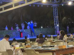 -渔家火锅·海鲜自助餐·演艺(亚龙湾天域酒店)