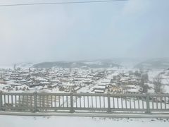 -横道河子东北虎林园
