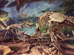 -自贡恐龙博物馆