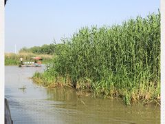 -长兴太湖图影湿地文化园