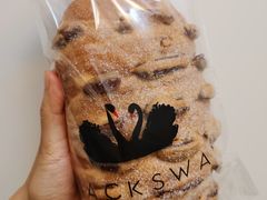 -BLACKSWAN黑天鹅(环球店)