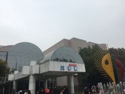 -上海交通大学医学院附属上海儿童医学中心(陆家嘴总院区)