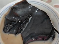 -五福堂龟苓膏(河东北山店)