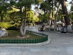 -莲湖公园