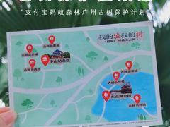 -东山湖公园