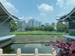 -唐廊烤鸭店(工体店)